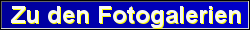 Zu den Fotogalerien